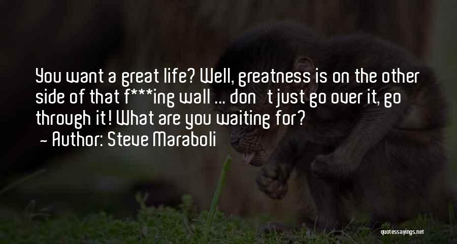 Just Waiting For You Quotes By Steve Maraboli