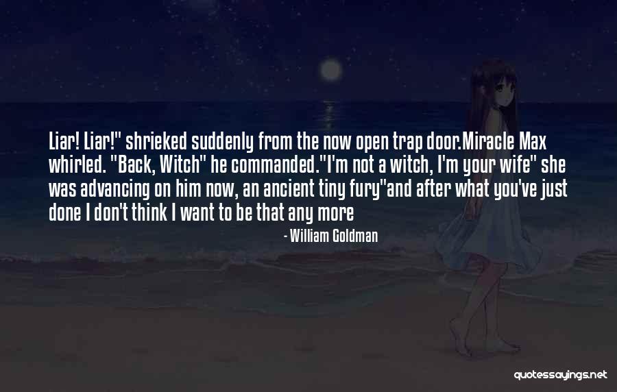 Just Want Him Back Quotes By William Goldman Just Want Him Back Quotes By William Goldman