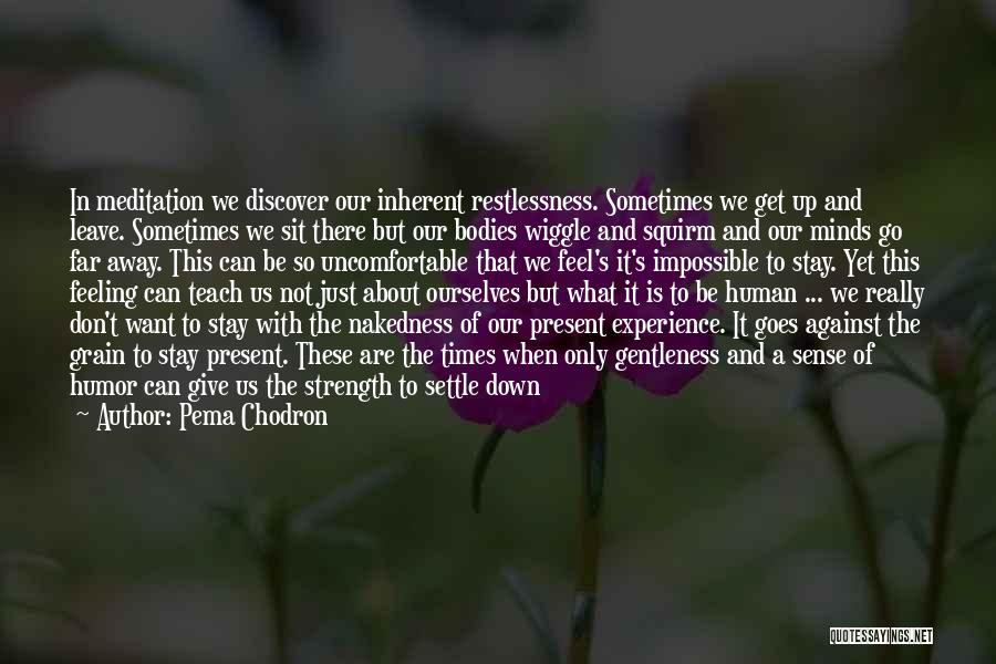 Just Want To Settle Down Quotes By Pema Chodron
