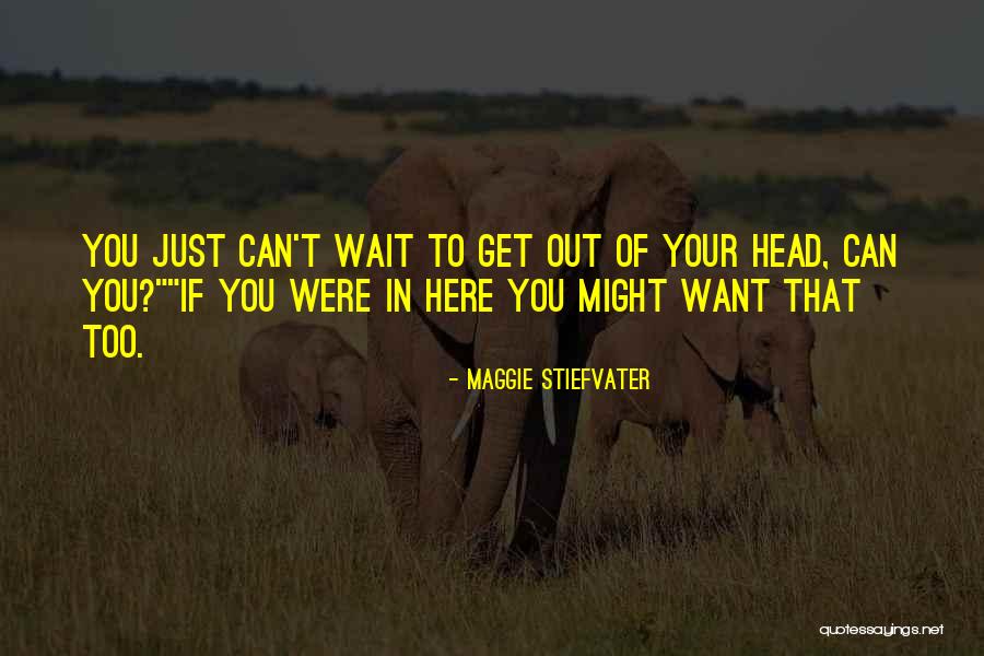 Just Want You Here Quotes By Maggie Stiefvater