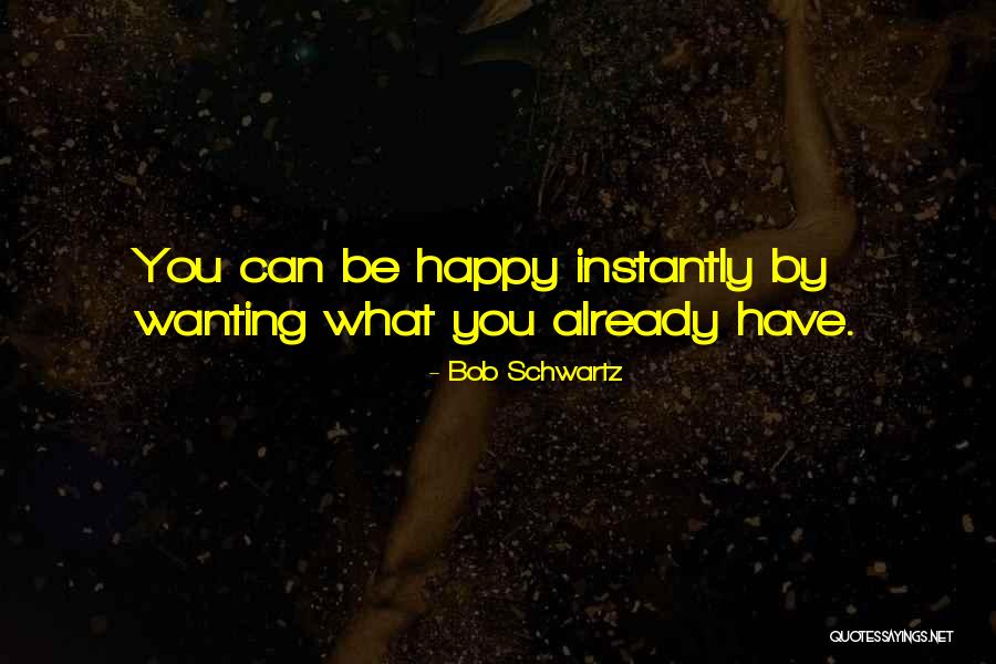 Just Wanting To Be Happy Quotes By Bob Schwartz