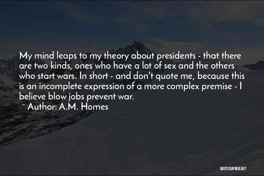 Just War Theory Quotes By A.M. Homes