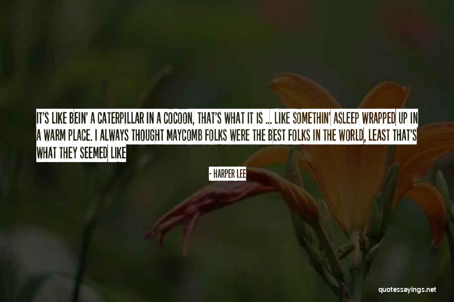 Just When The Caterpillar Quotes By Harper Lee Just When The Caterpillar Quotes By Harper Lee