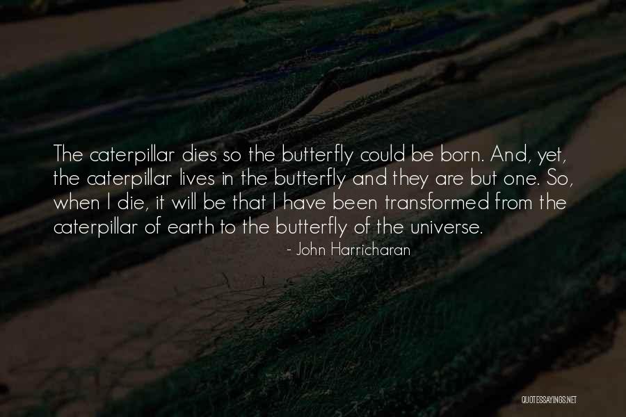 Just When The Caterpillar Quotes By John Harricharan Just When The Caterpillar Quotes By John Harricharan