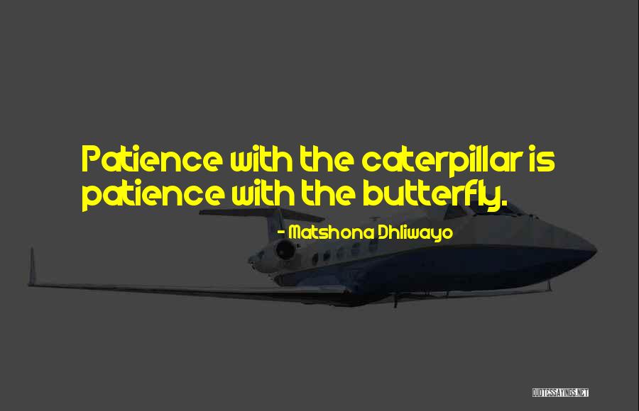 Just When The Caterpillar Quotes By Matshona Dhliwayo Just When The Caterpillar Quotes By Matshona Dhliwayo