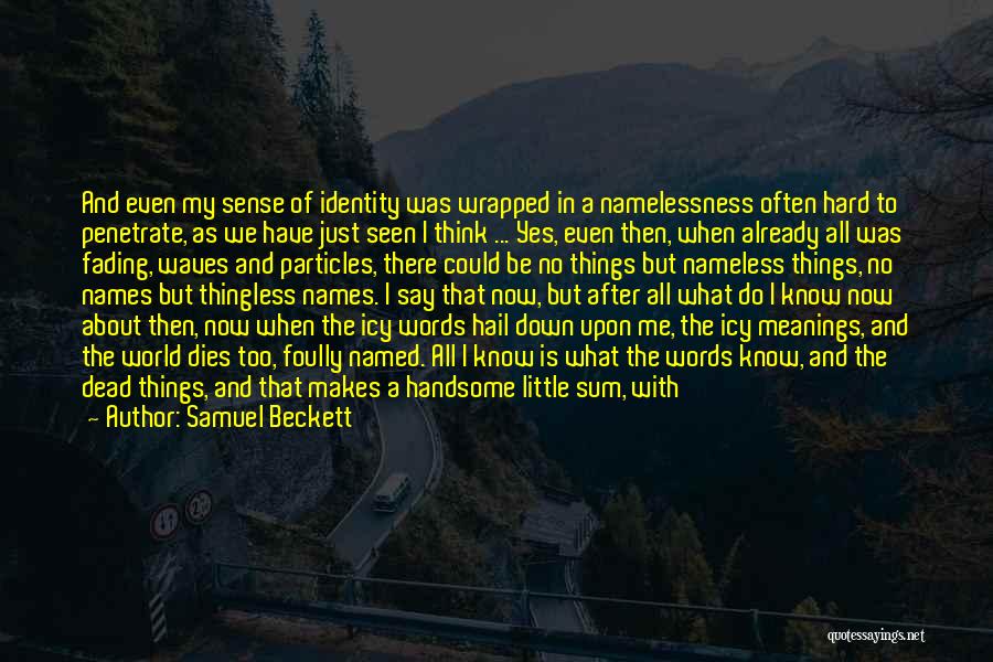 Just When You Think You Know Me Quotes By Samuel Beckett