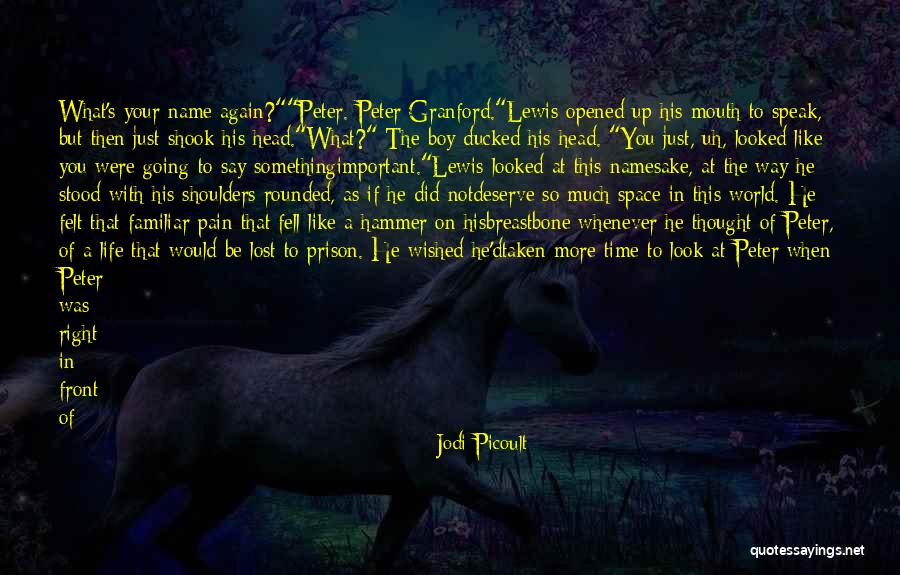 Just When You Thought Life Quotes By Jodi Picoult Just When You Thought Life Quotes By Jodi Picoult