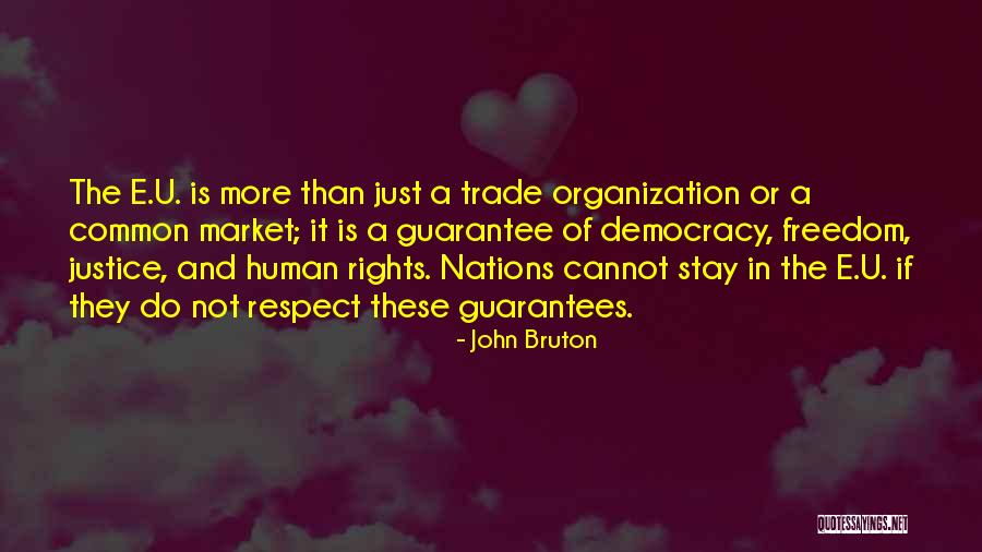 Justice And Democracy Quotes By John Bruton