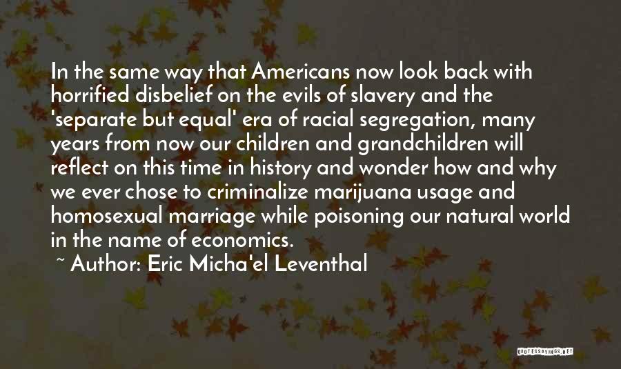 Justice And Education Quotes By Eric Micha'el Leventhal
