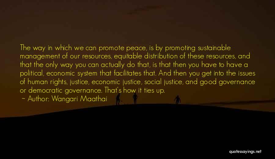 Justice And Human Rights Quotes By Wangari Maathai