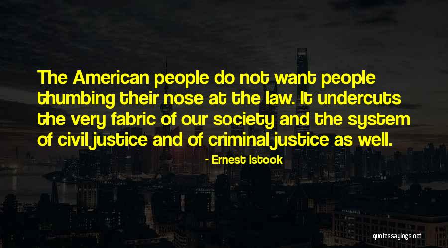 Justice And Law Quotes By Ernest Istook