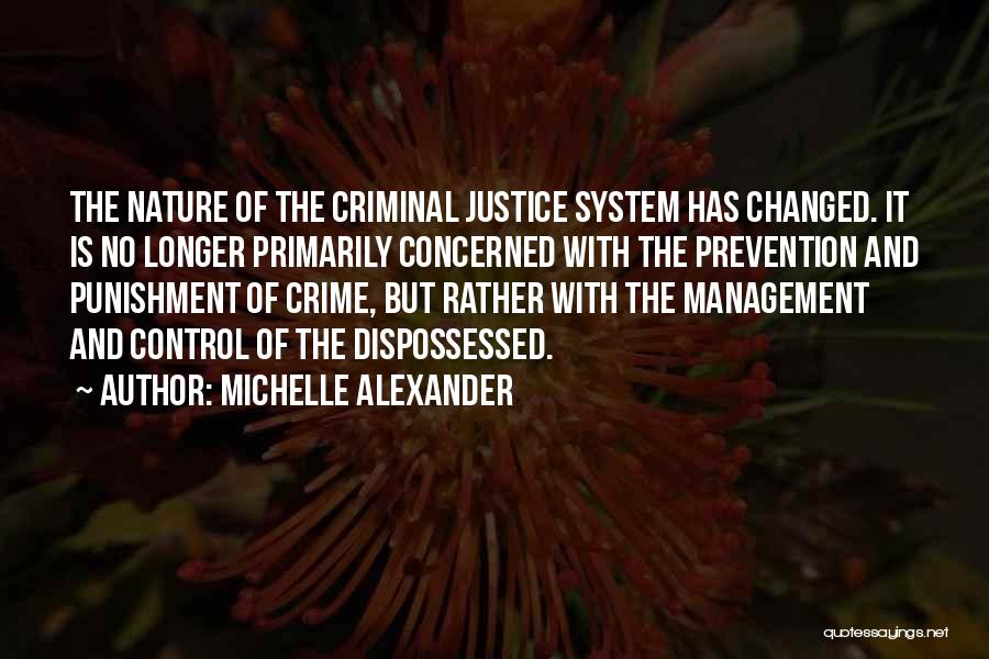 Justice And Punishment Quotes By Michelle Alexander