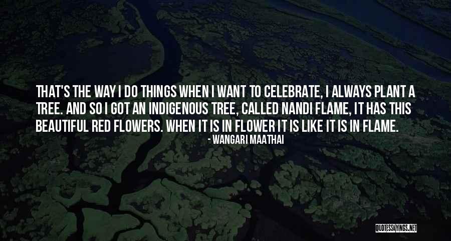 Justificatory Reasons Quotes By Wangari Maathai Justificatory Reasons Quotes By Wangari Maathai