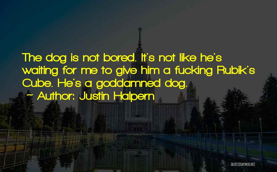 Justin Halpern Quotes 1205016