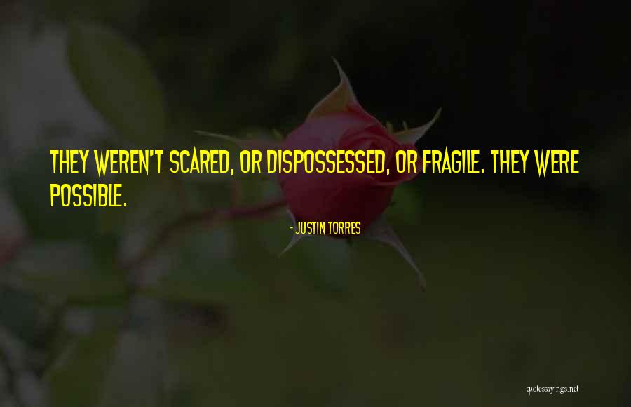 Justin Torres Quotes 999167 Justin Torres Quotes 999167