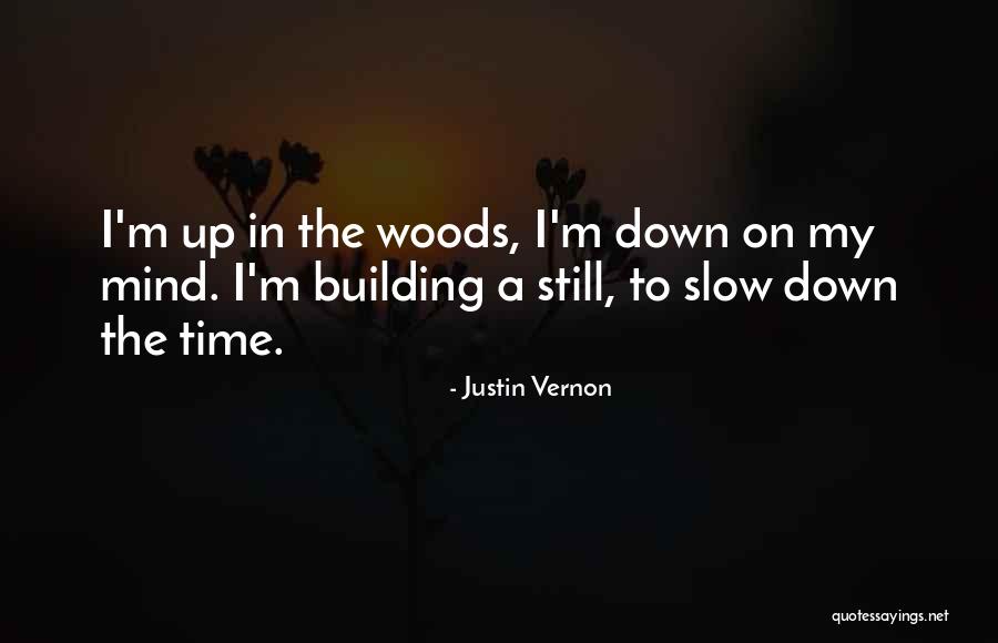 Justin Vernon Quotes 1449377