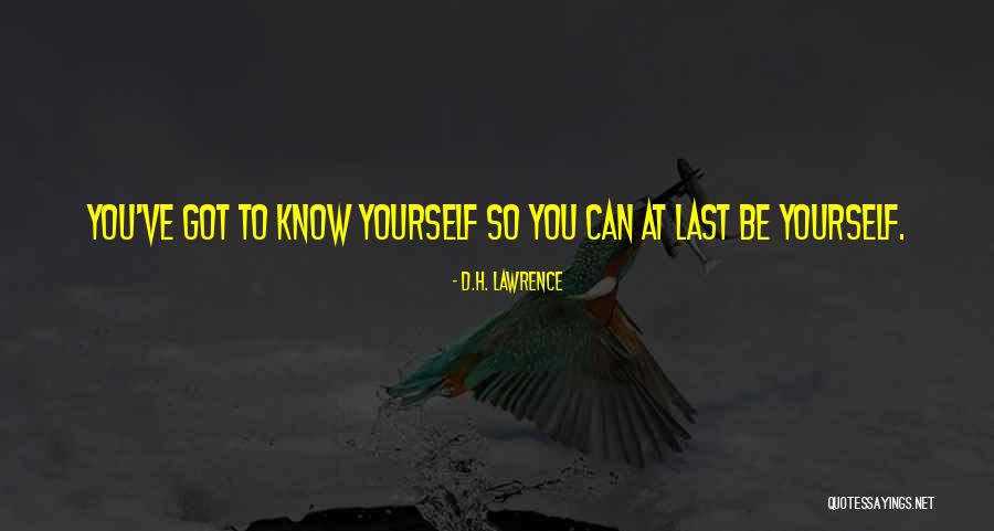 Justme Quotes By D.H. Lawrence