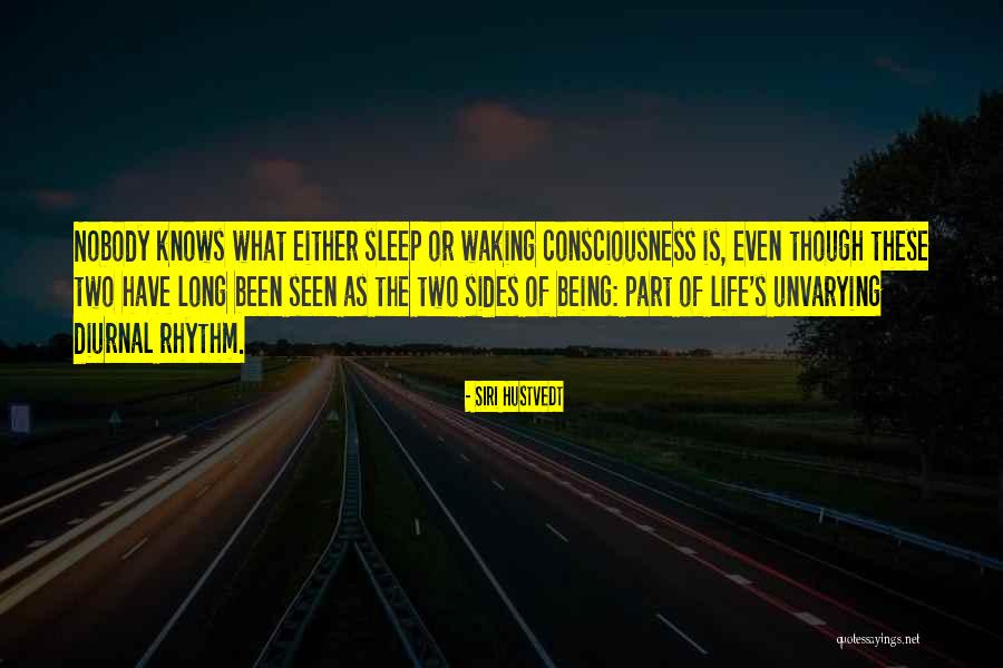 Juthamas Vk Quotes By Siri Hustvedt Juthamas Vk Quotes By Siri Hustvedt