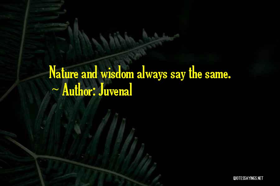 Juvenal Quotes 501703