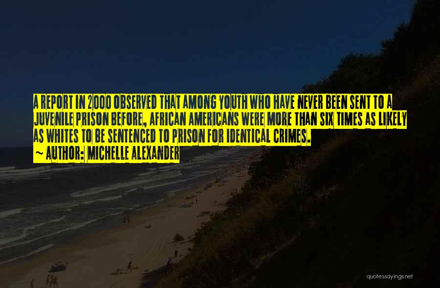 Juvenile Crimes Quotes By Michelle Alexander