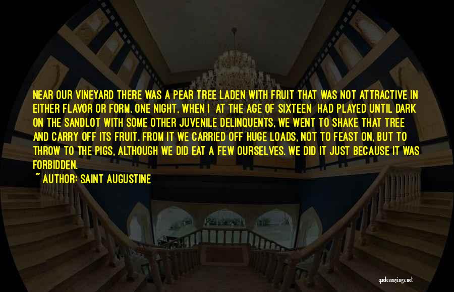 Juvenile Delinquents Quotes By Saint Augustine