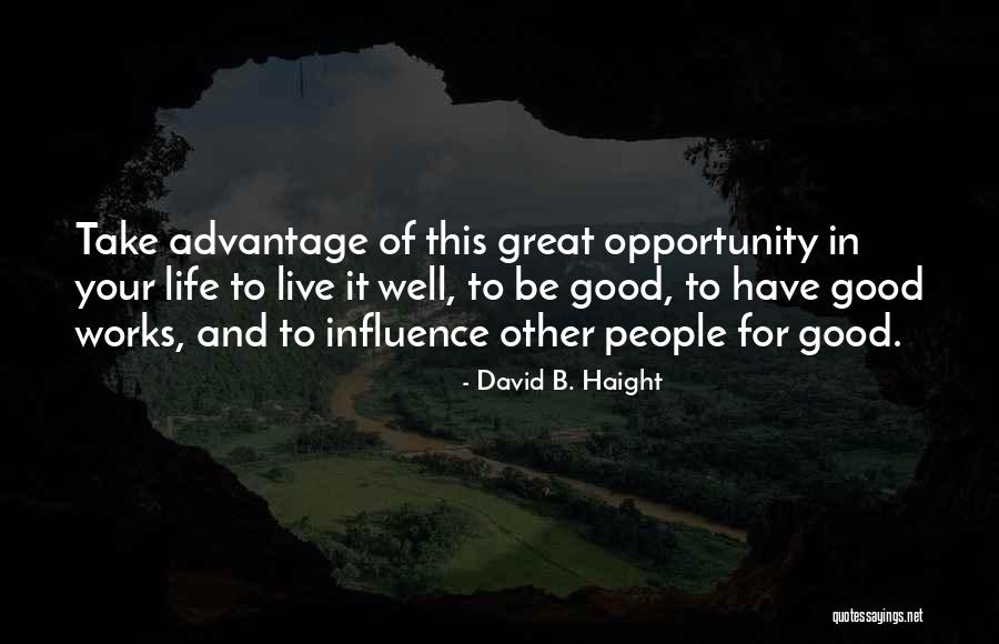Jwh 018 Quotes By David B. Haight Jwh 018 Quotes By David B. Haight