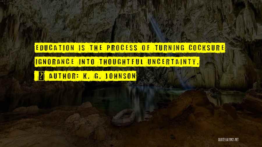 K-12 Education Quotes By K. G. Johnson