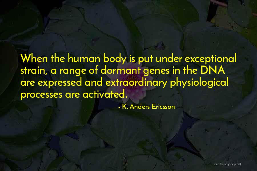 K. Anders Ericsson Quotes 1318661