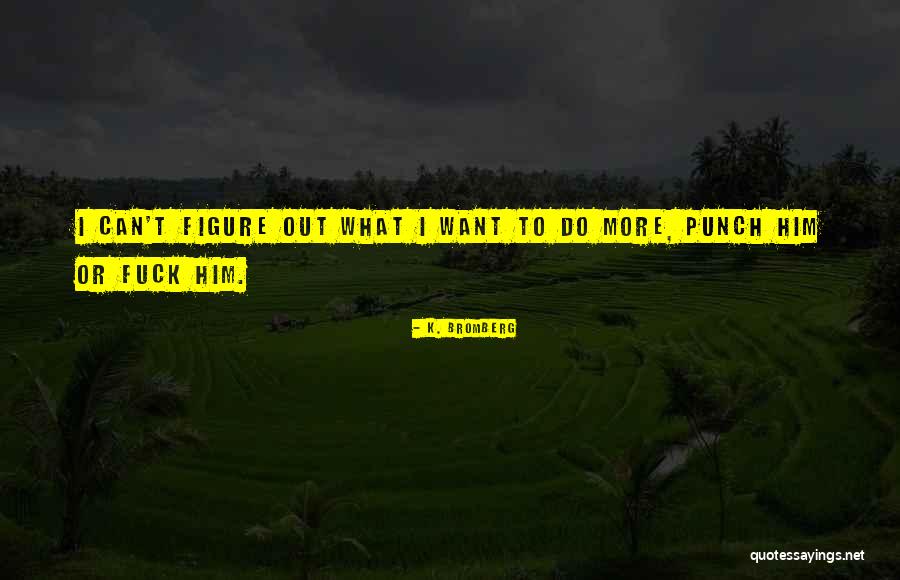 K. Bromberg Quotes 1942422 K. Bromberg Quotes 1942422