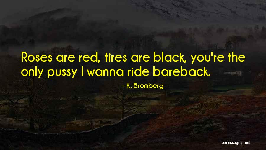 K. Bromberg Quotes 304738 K. Bromberg Quotes 304738