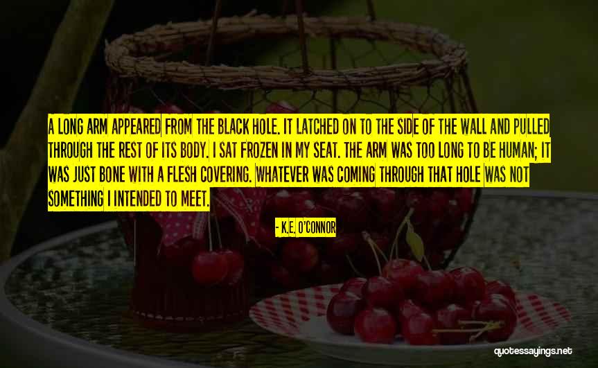 K E Quotes By K.E. O'Connor K E Quotes By K.E. O'Connor
