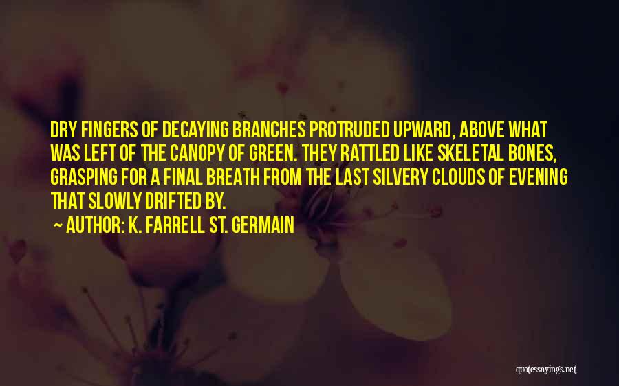 K. Farrell St. Germain Quotes 2079652