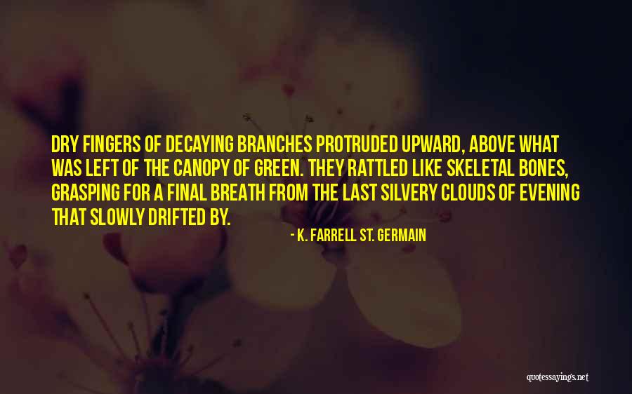 K. Farrell St. Germain Quotes 2079652 K. Farrell St. Germain Quotes 2079652