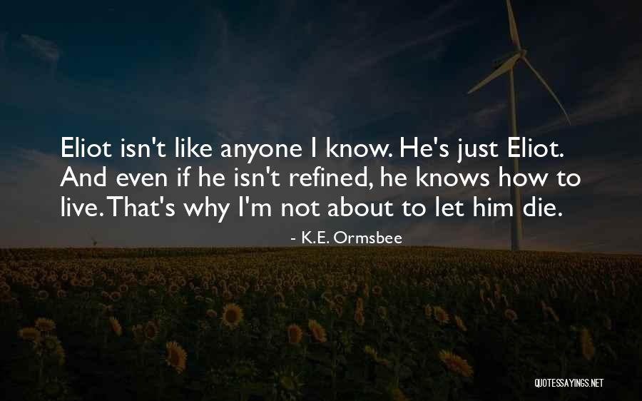 K.i.z Quotes By K.E. Ormsbee