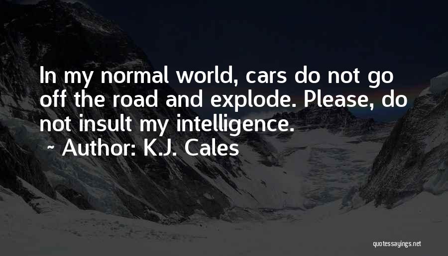 K.J. Cales Quotes 1379406