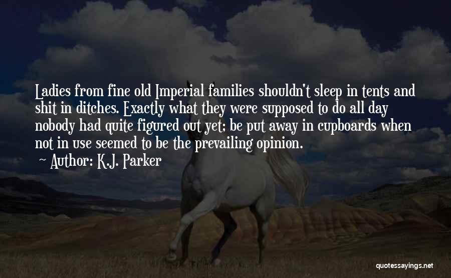 K.J. Parker Quotes 263747