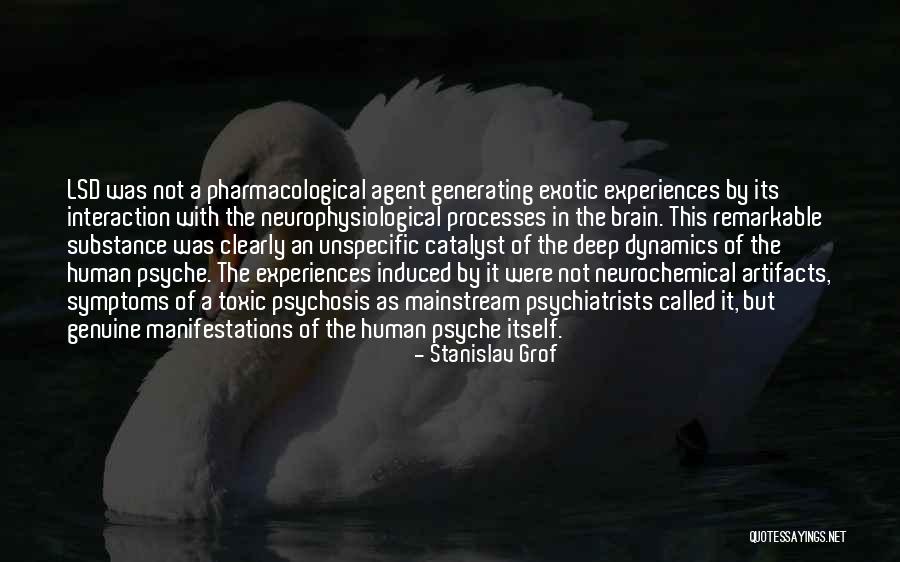 K K Insurance Group Quotes By Stanislav Grof K K Insurance Group Quotes By Stanislav Grof