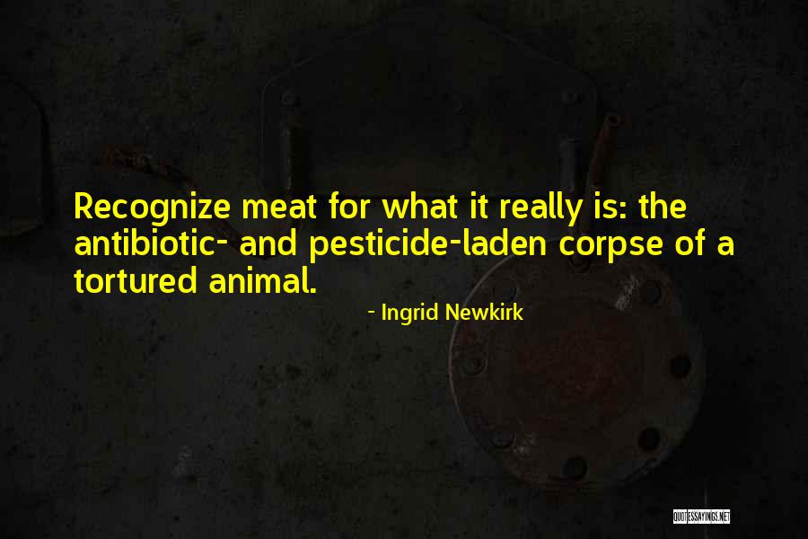 K Ly K Kutya Olt Sok Quotes By Ingrid Newkirk K Ly K Kutya Olt Sok Quotes By Ingrid Newkirk