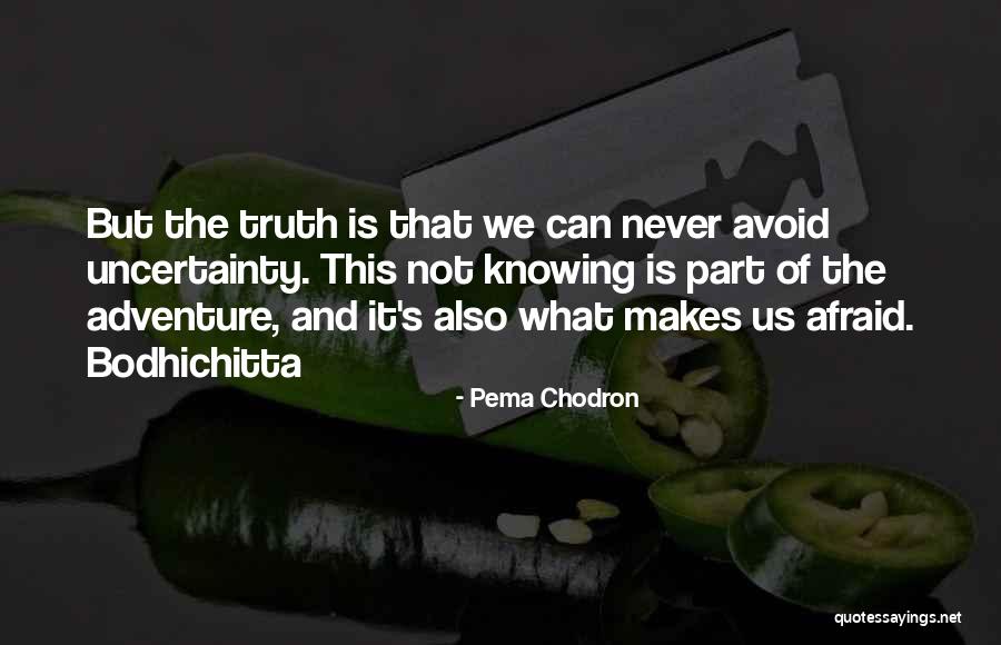K M Nyajt Quotes By Pema Chodron K M Nyajt Quotes By Pema Chodron