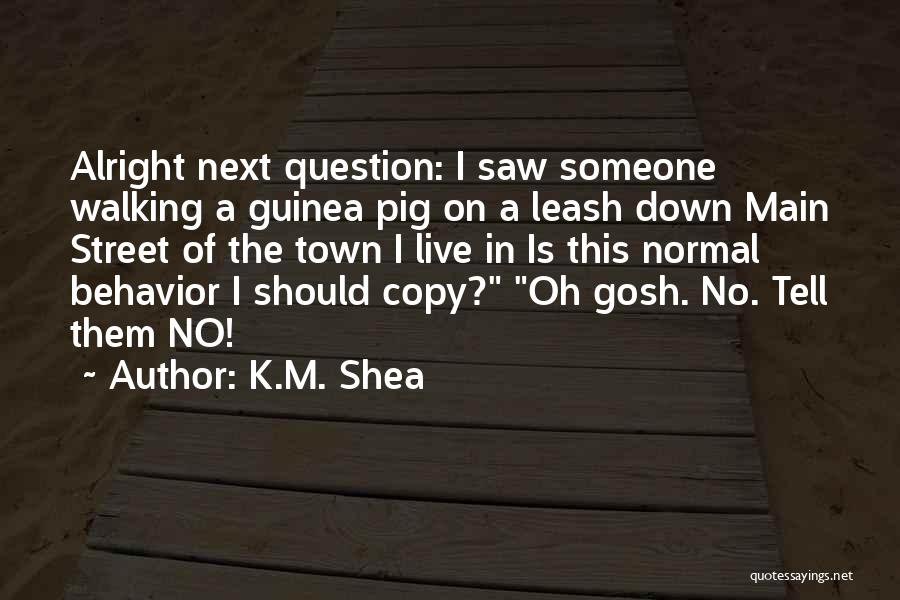 K.M. Shea Quotes 1048450