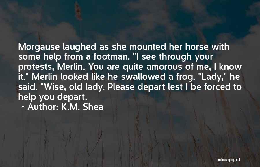 K.M. Shea Quotes 623416