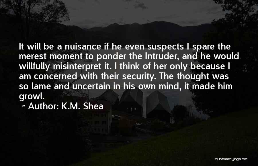 K.M. Shea Quotes 833156