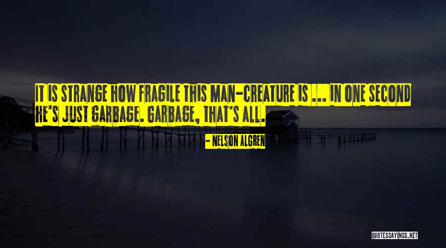 K M Wayland Chrysler Dodge Jeep Ram Quotes By Nelson Algren K M Wayland Chrysler Dodge Jeep Ram Quotes By Nelson Algren