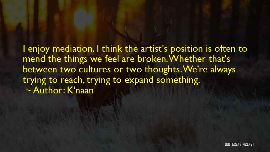 K Naan Quotes By K'naan