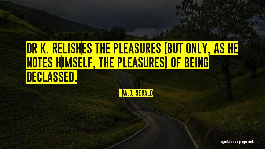 K-os Quotes By W.G. Sebald K-os Quotes By W.G. Sebald