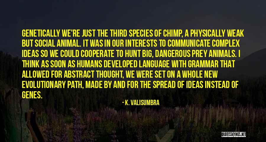 K. Valisumbra Quotes 1704534 K. Valisumbra Quotes 1704534