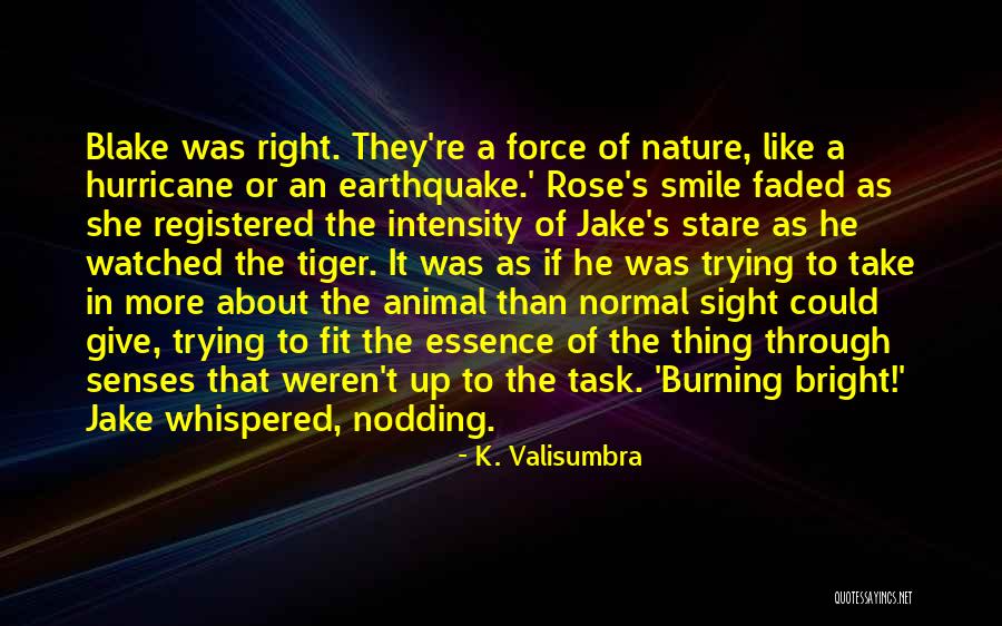 K. Valisumbra Quotes 1764196