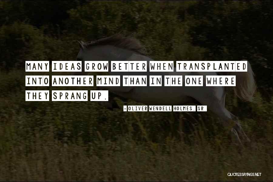 K5 News Quotes By Oliver Wendell Holmes, Sr. K5 News Quotes By Oliver Wendell Holmes, Sr.