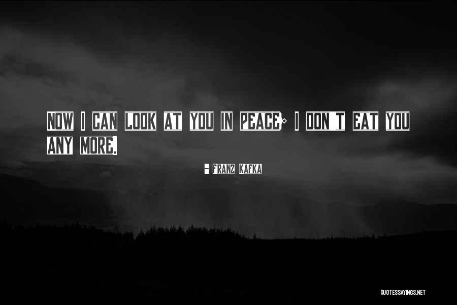 Kaaaylaa Quotes By Franz Kafka Kaaaylaa Quotes By Franz Kafka