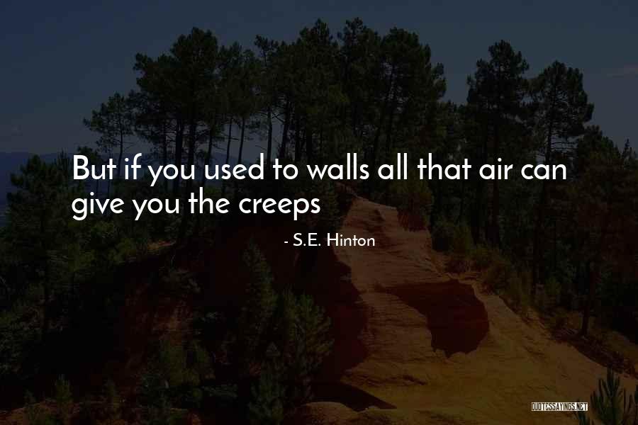 Kaapus Quotes By S.E. Hinton Kaapus Quotes By S.E. Hinton